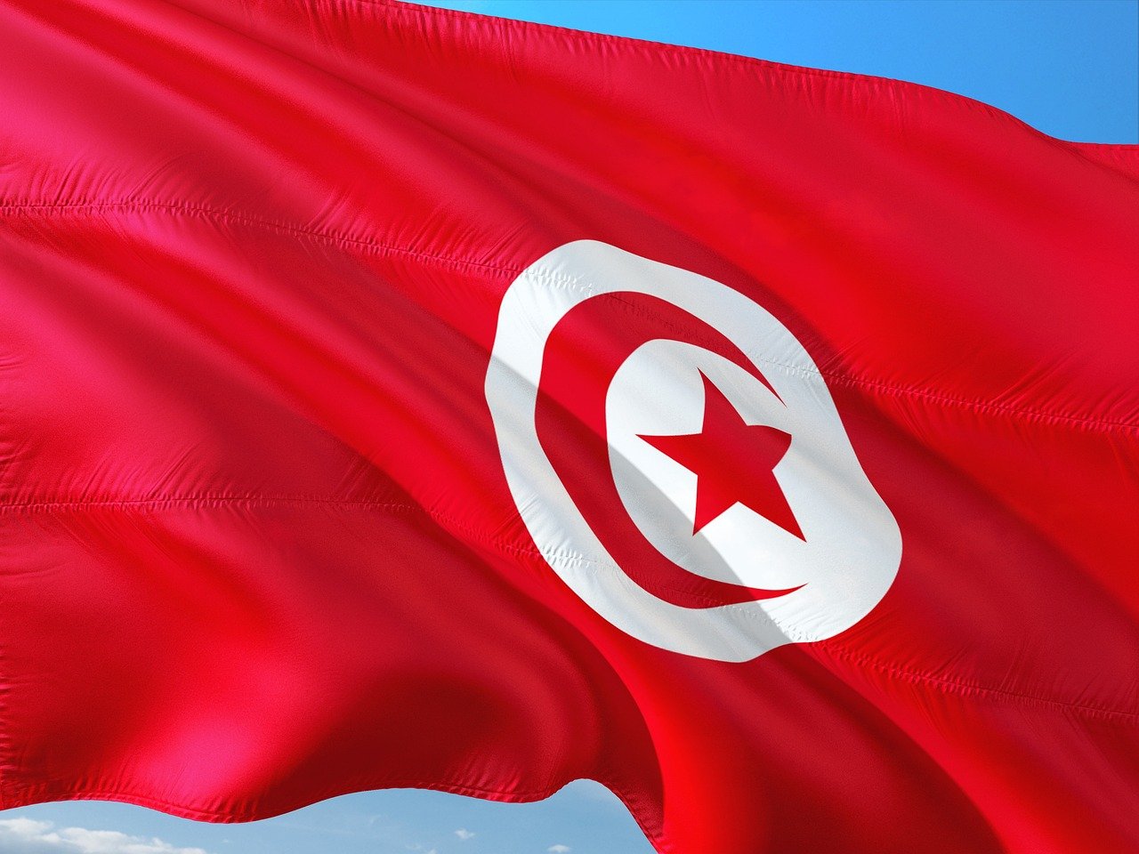 international, banner, flag, tunis, tunisia, tunis, tunis, tunis, tunis, tunis, tunisia, tunisia, tunisia, tunisia