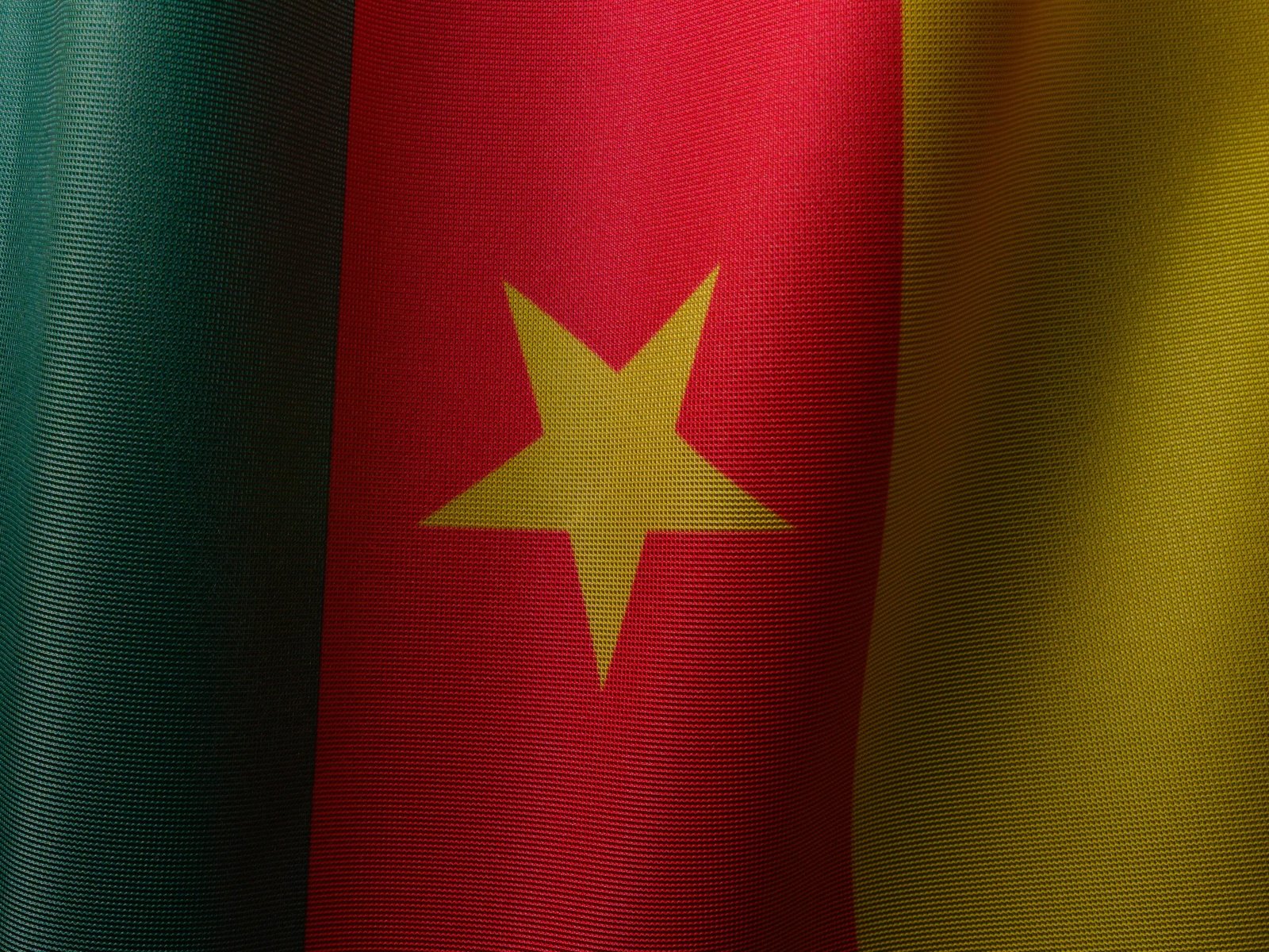 Closeup of the Cameroon flag showcasing vibrant colors and symbolic star design.