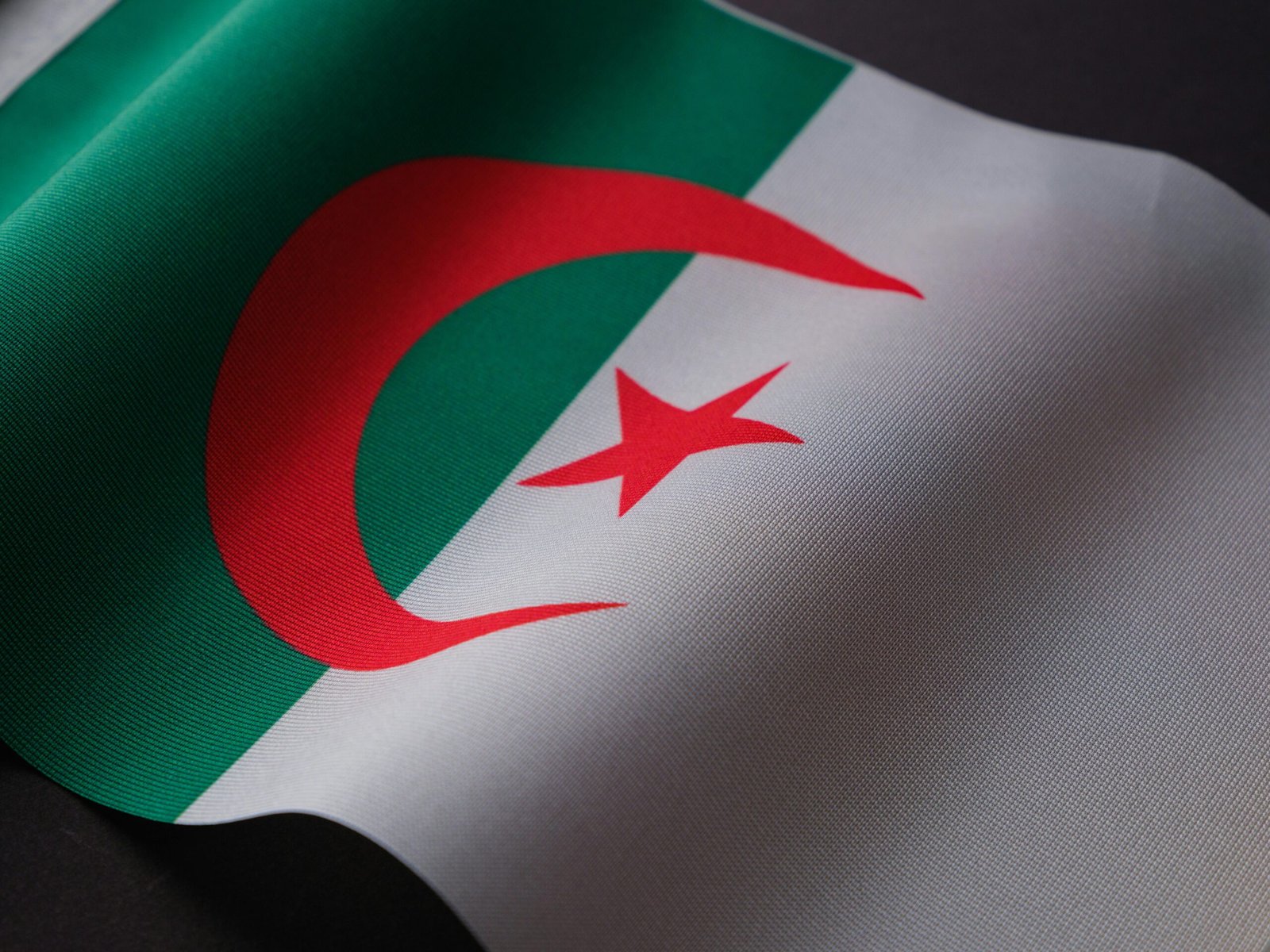 Closeup of the Algerian flag displaying its emblem on textured fabric.